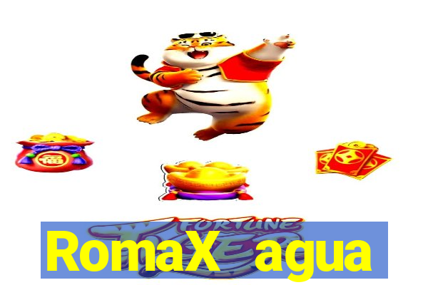 RomaX agua sanitaria fispq agua sanitaria romax